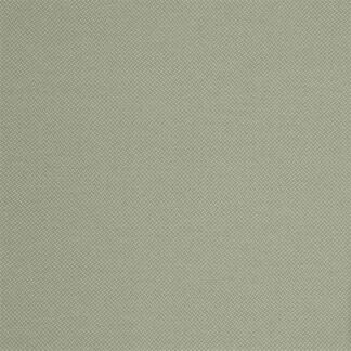 Mira X Pescara 9212_