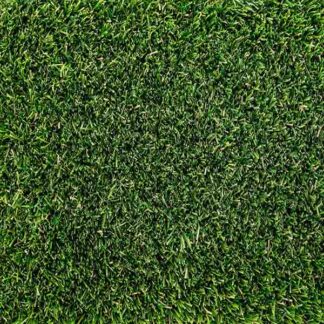 Tiara Paradiso_grün.