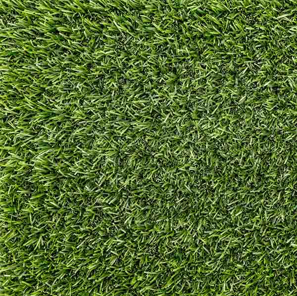 Tiara Fresco_grün.jp