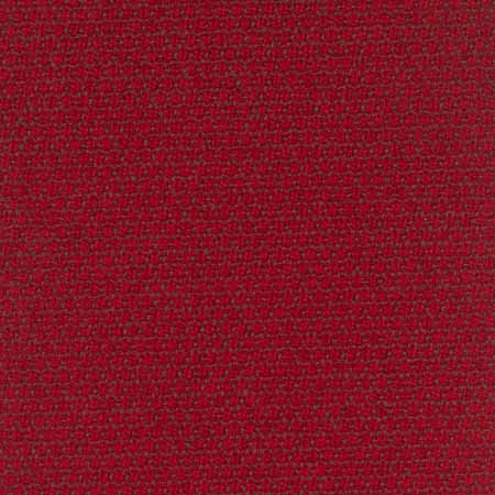 MIRA X KALAHARI_8702