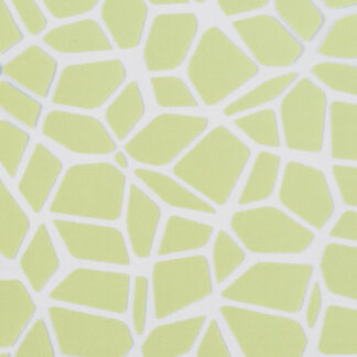 MIRA X FIORINA_7312_