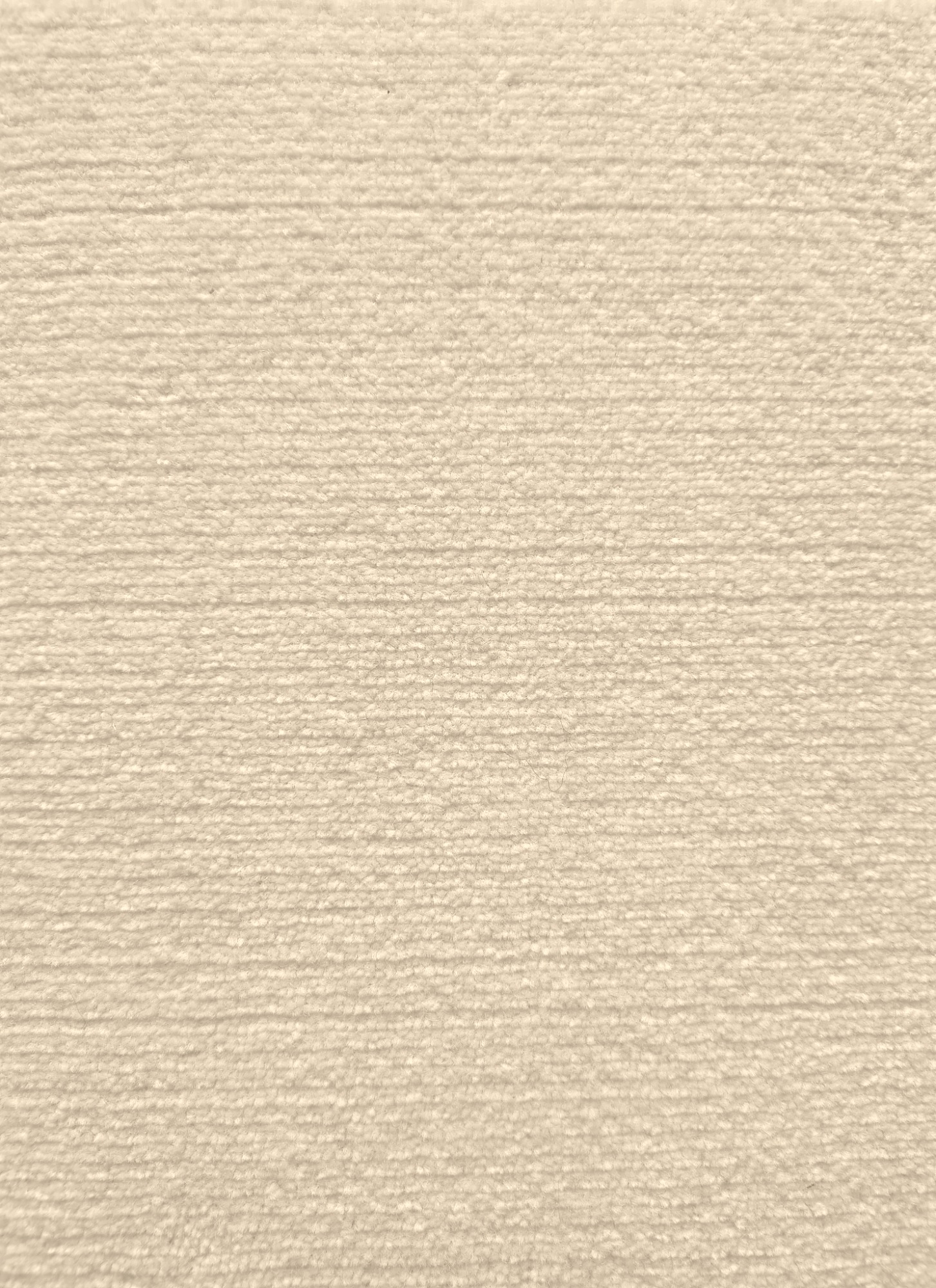 angora
