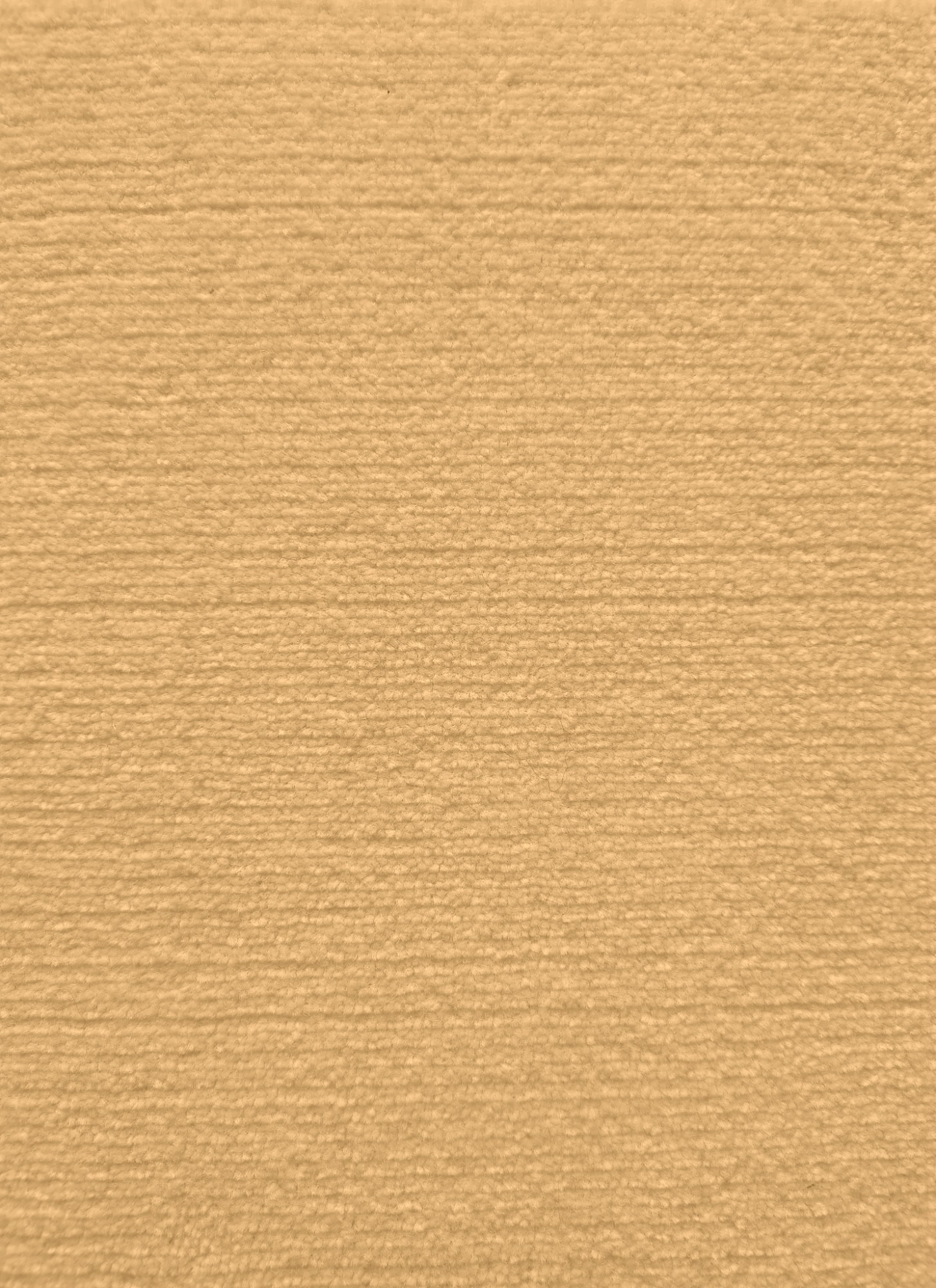 dune