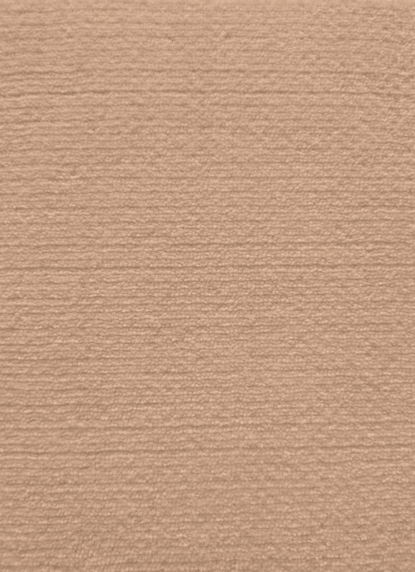 nougat