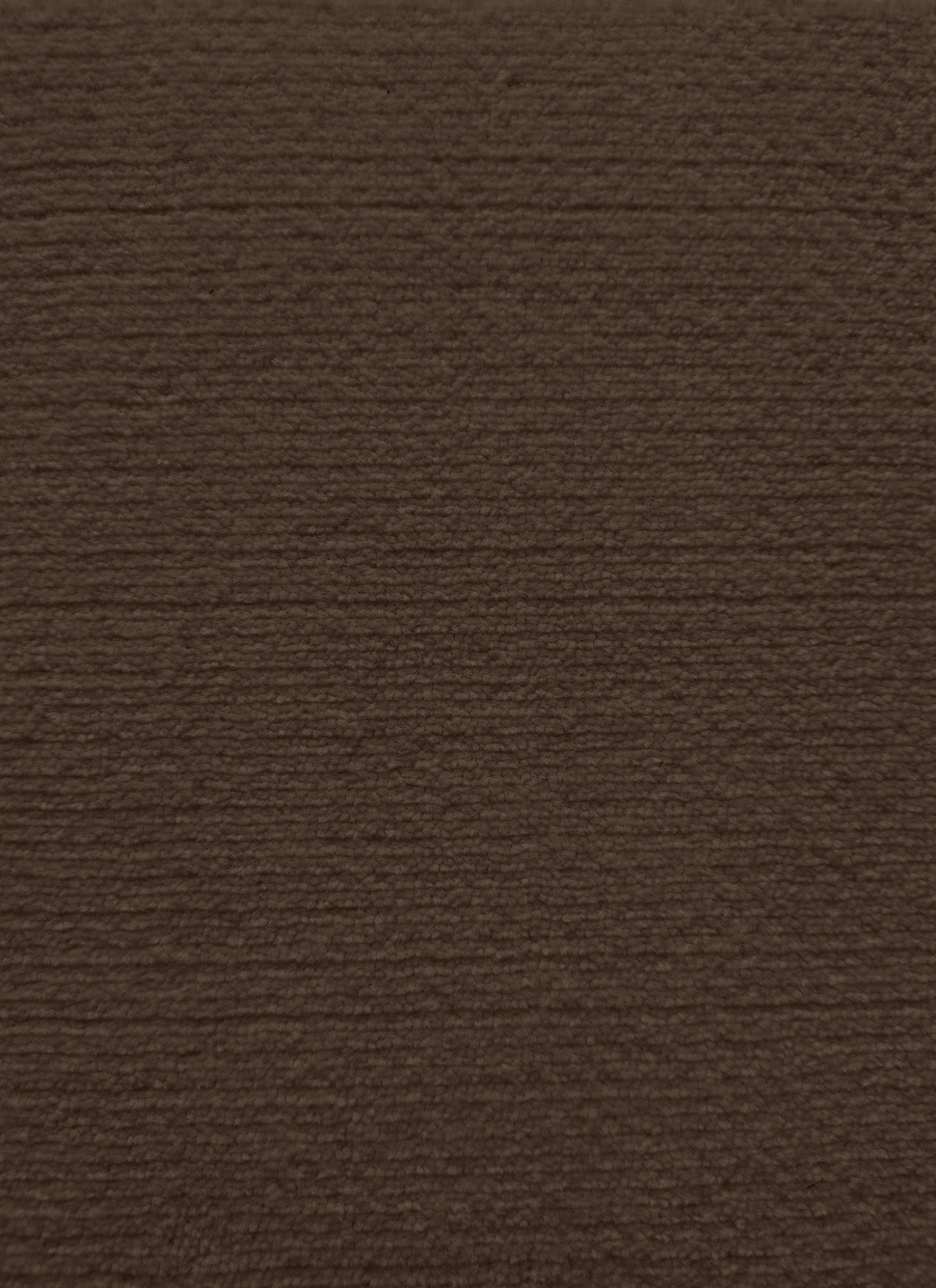 teak