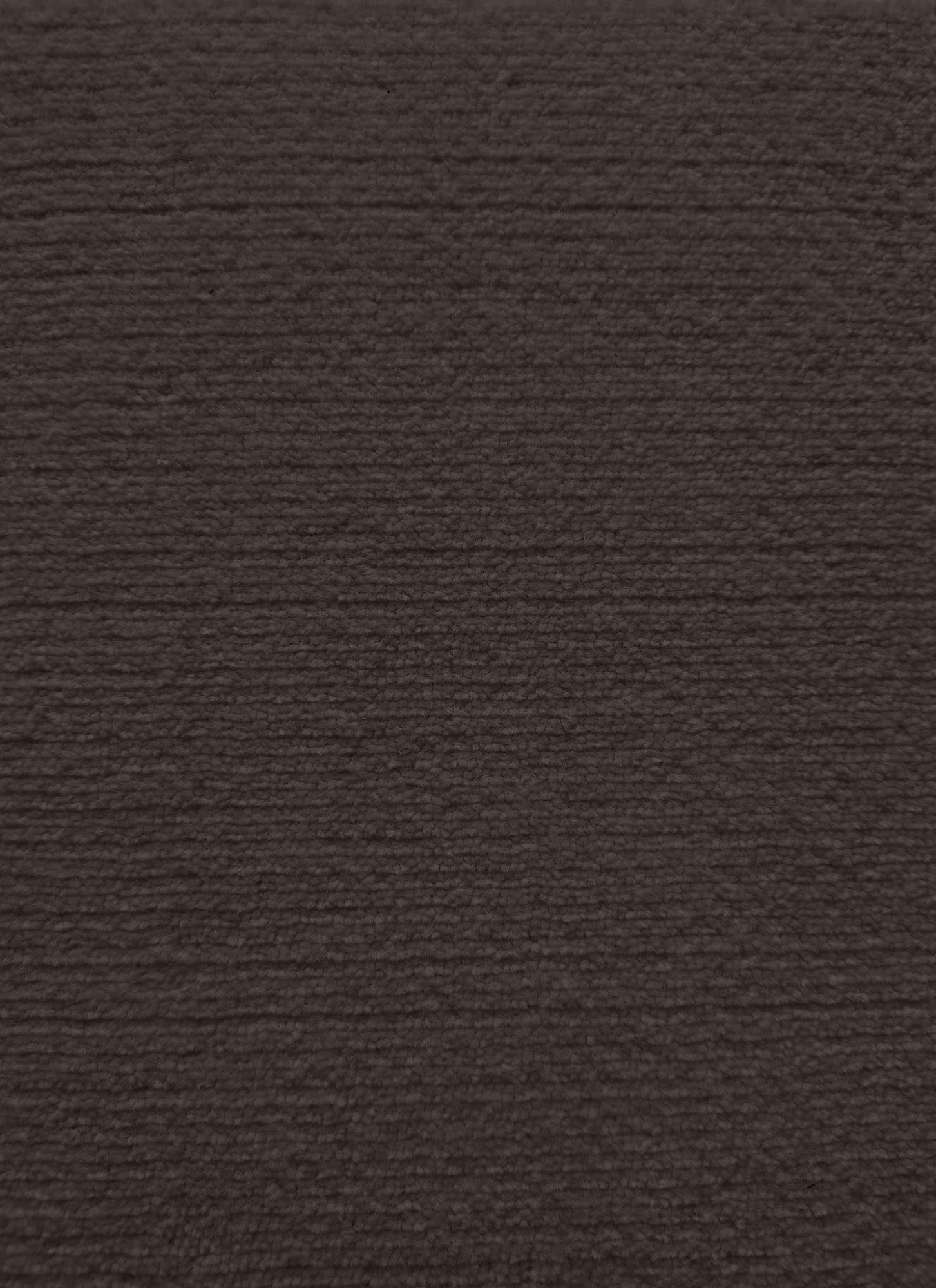 cocoa