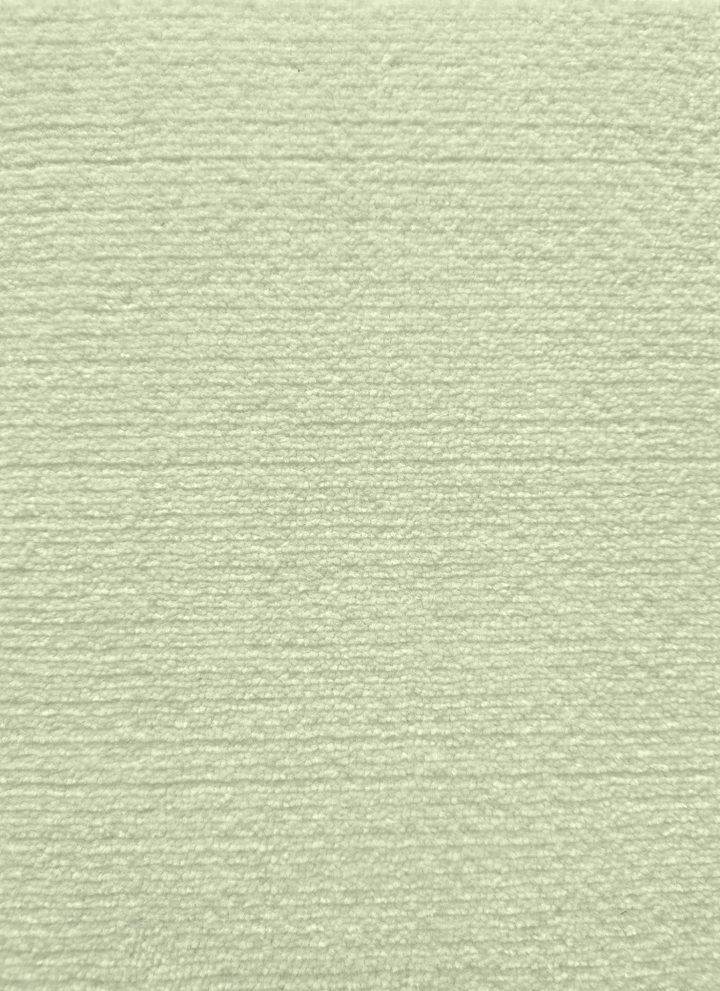 wasabi