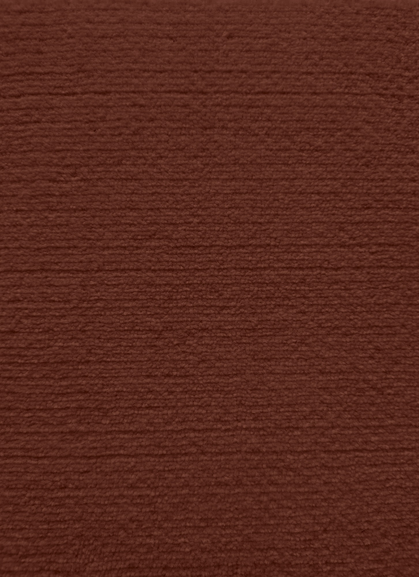 chestnut
