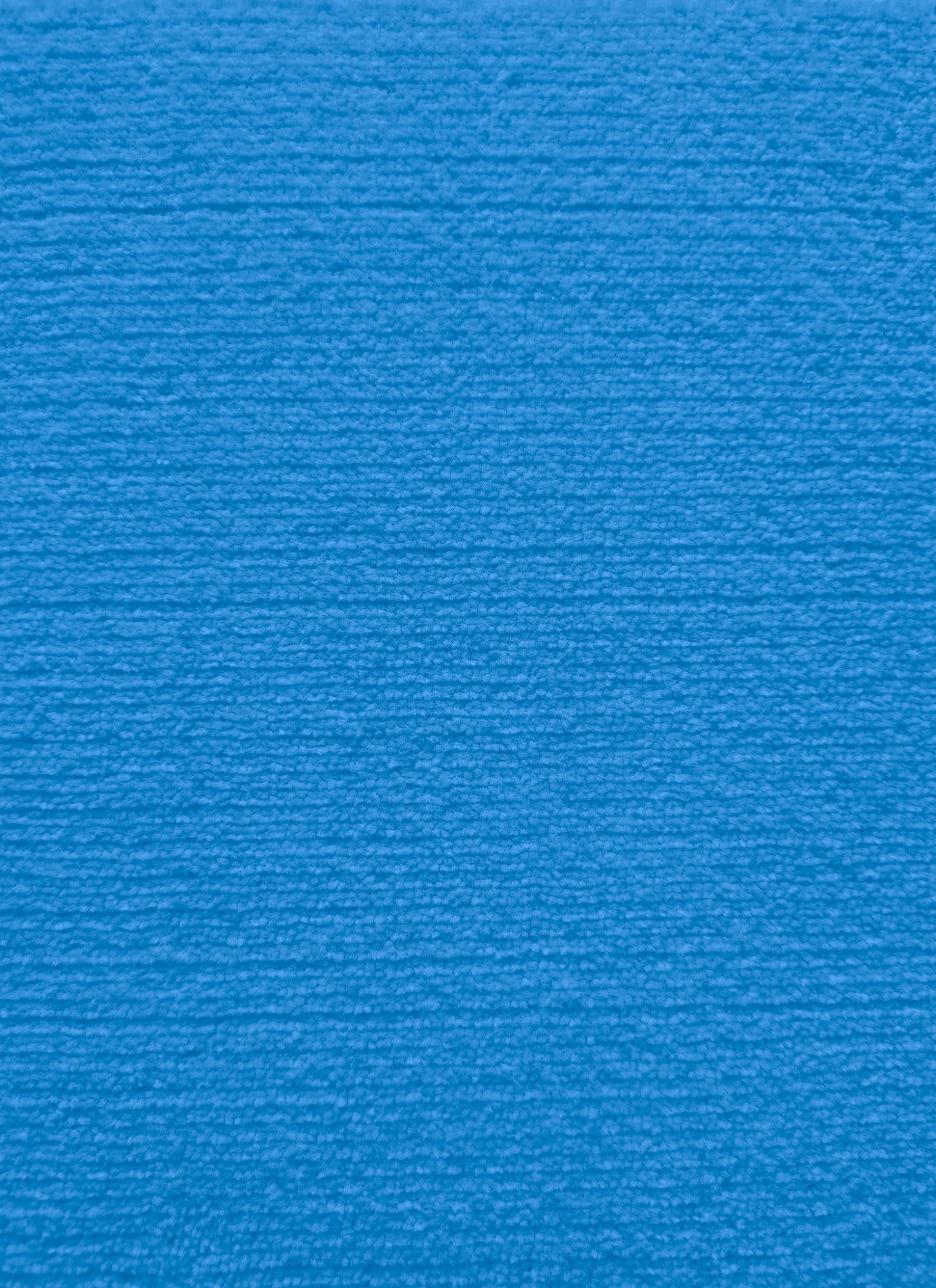cornflower