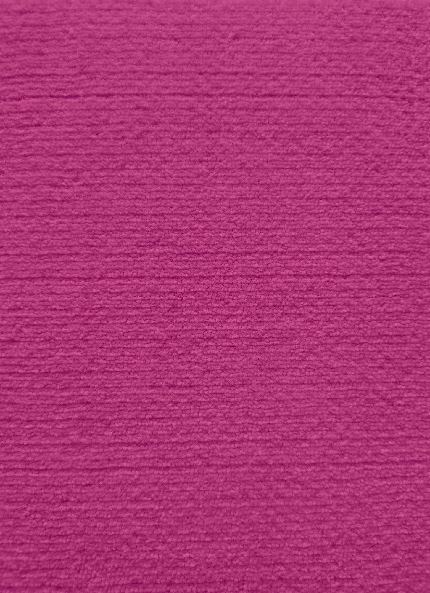 foxglove