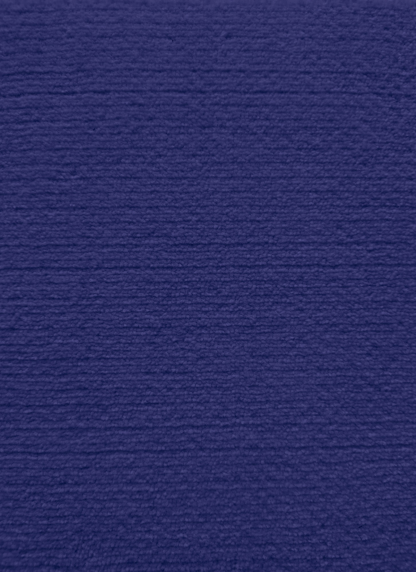 viola