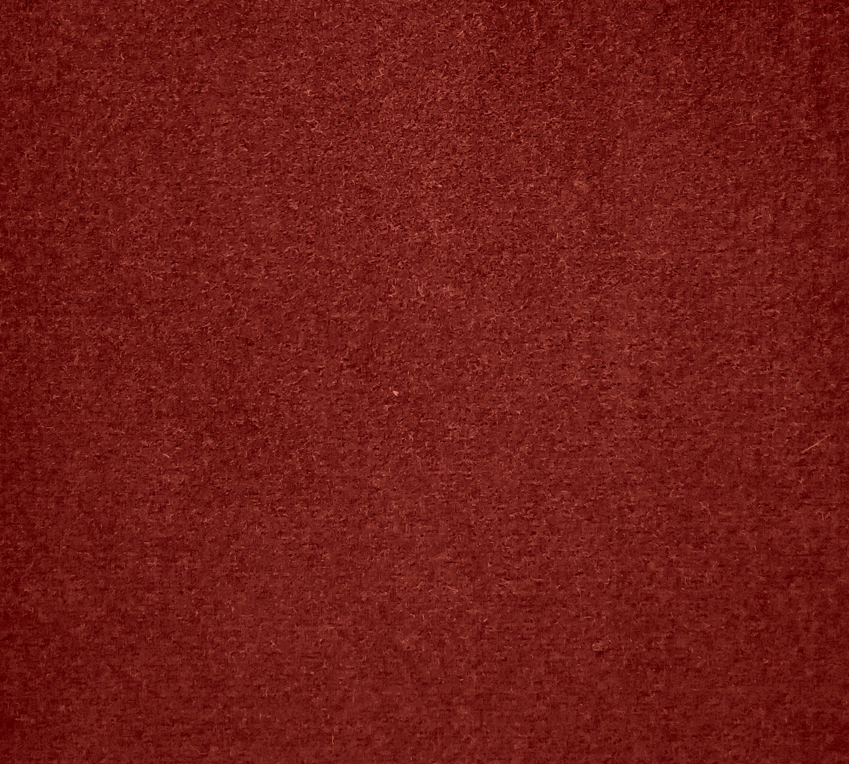 koralle
