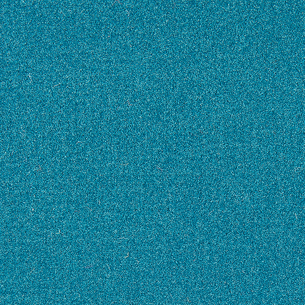 eisvogel