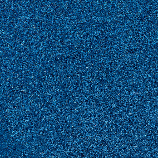 zwetschge