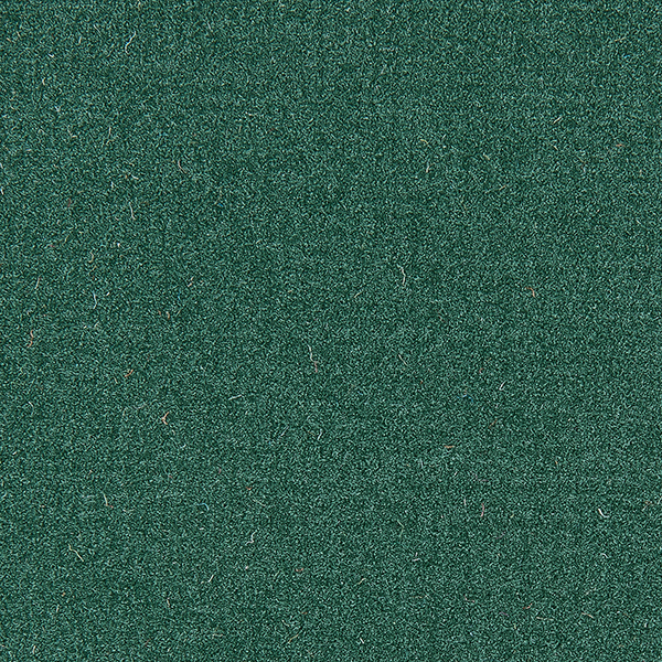 efeu