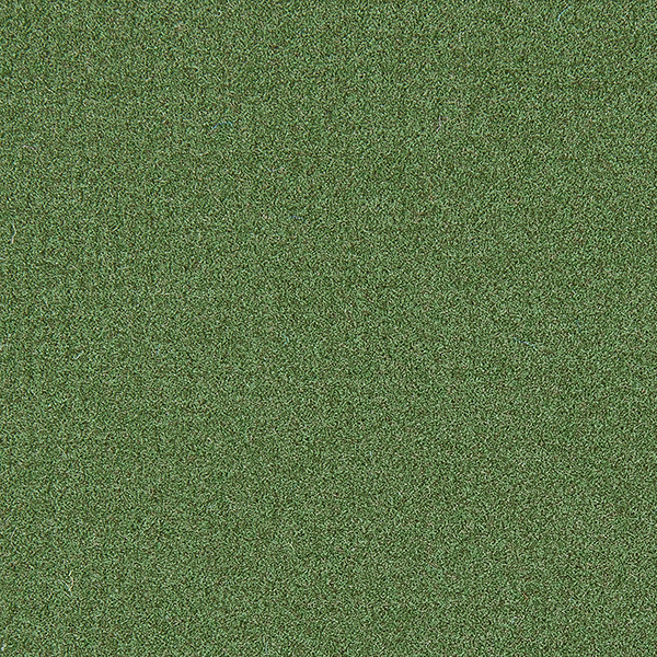 erbse